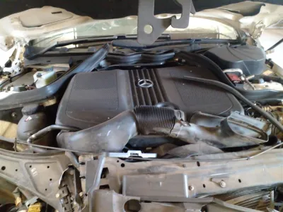 E 250